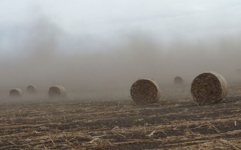 Too Sick to Function Image